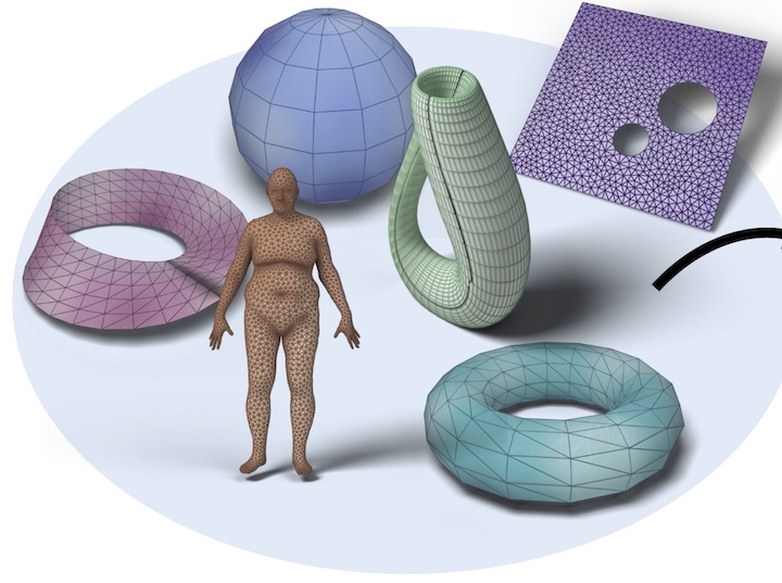Original publication preview for Topological Neural Operators